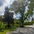 posezen� pod starou l�pou